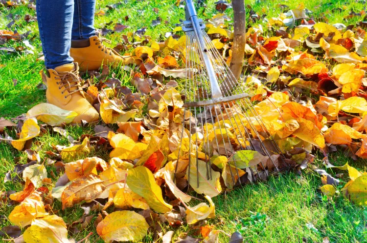 Gardening Jobs for November